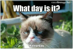 Stupid Bar Memes 88327beefc7a130544020c757c104da8ssgrumpyscatssfunnyscats