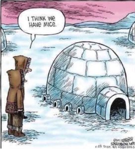 Stupid Bar Memes 8a4abf888f0feb87