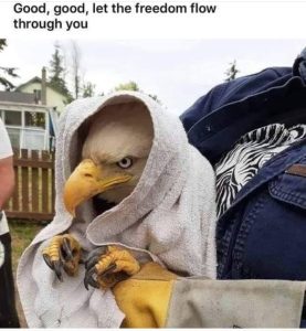 Stupid Bar Memes 94d780915b351f73
