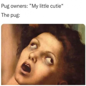 Stupid Bar Memes 98449d770cfe4944