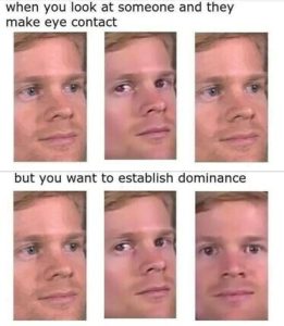 Stupid Bar Memes 9856795e3905ebbb
