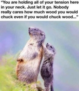 Stupid Bar Memes 9adaff7ce789b19a