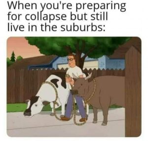 Stupid Bar Memes 9ae034878084e289