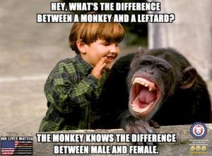 Stupid Bar Memes 9cd10d9cc526133e