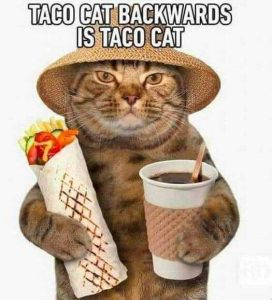 Stupid Bar Memes 9dca9452cea7c495