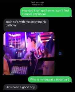 Stupid Bar Memes FBsIMGs1680374616717