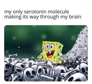 Stupid Bar Memes HbiTUSm