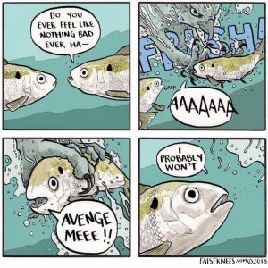 Stupid Bar Memes IMGs8327