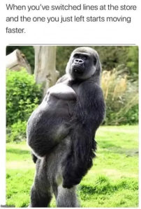 Stupid Bar Memes Pob0n9n