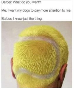 Stupid Bar Memes a07446ee2899ec67