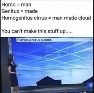 Stupid Bar Memes a302101305f45d66
