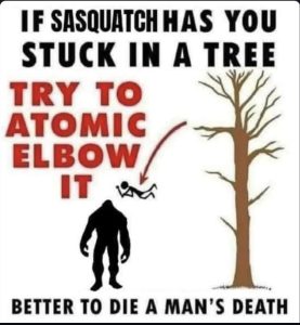 Stupid Bar Memes a3245daa9ed25645
