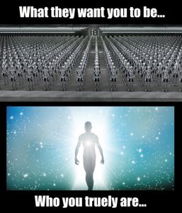 Stupid Bar Memes a38c8a9d2790b02b