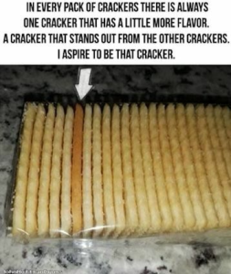 Stupid Bar Memes a6b5f65f617bc70b