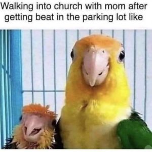 Stupid Bar Memes a6bb225b3d3e31fc