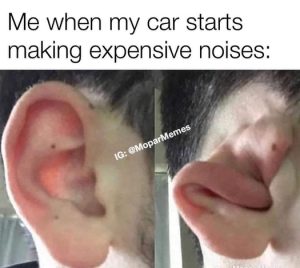 Stupid Bar Memes a6cad94a3ca45ed7