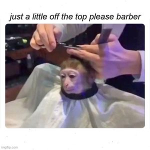 Stupid Bar Memes a831e6e611a2c5a8