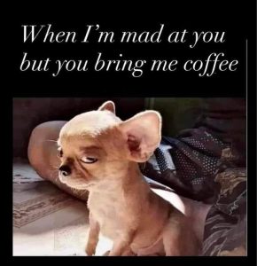 Stupid Bar Memes a9013e369eec9604