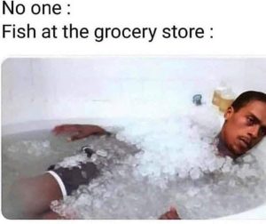Stupid Bar Memes aYVD4v2s700b