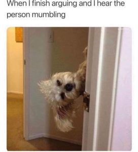 Stupid Bar Memes ab501a041cef4832