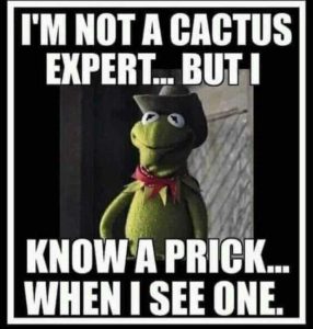 Stupid Bar Memes ac52e188f5c6ea9c