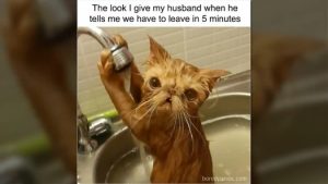 Stupid Bar Memes acbdc6a43ef3d071