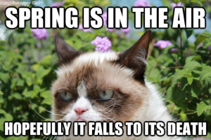 Stupid Bar Memes af46801602d2498