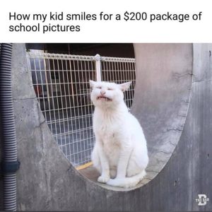 Stupid Bar Memes afdffe381bb3e882