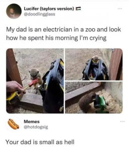 Stupid Bar Memes agkmpAw
