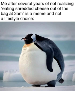 Stupid Bar Memes b3d0b6ede65192eb