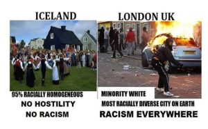 Stupid Bar Memes b426d6867a1bfdfb