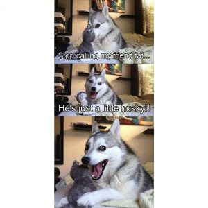 Stupid Bar Memes b6a0bcd8eb50315c