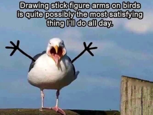 Stupid Bar Memes b6e9b1e93fb4497c
