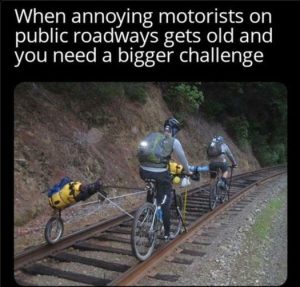 Stupid Bar Memes b7520ace17450e32