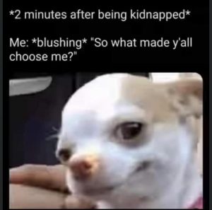 Stupid Bar Memes b87f9bfa47c5b543