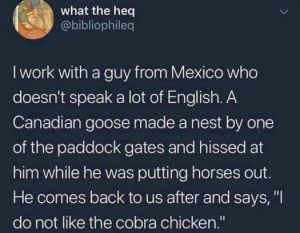 Stupid Bar Memes b954472179bf1a59