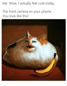 Stupid Bar Memes bananaswowsactuallysfeelscutestodaysfrontscamerasonsphoneslookslikesthis