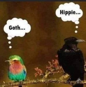 Stupid Bar Memes bb4238c1e01d1e75