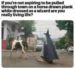 Stupid Bar Memes bb78965211cbd306