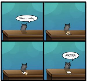 Stupid Bar Memes bcf9ccbb3d45e824
