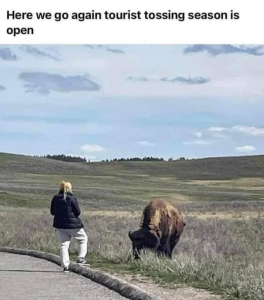 Stupid Bar Memes bde18ab521f72b67