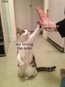 Stupid Bar Memes c0a9f4153455e868