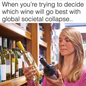 Stupid Bar Memes c0d91b506964b55b