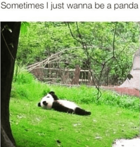 Stupid Bar Memes c2f30a928220b807