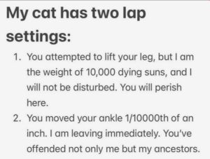 Stupid Bar Memes c3602bbe157df577