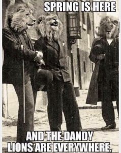 Stupid Bar Memes c4b6a4fc0d161bec