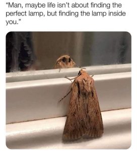 Stupid Bar Memes c7bec05a925a5ae9