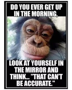 Stupid Bar Memes c9dd45fa52de6ab7