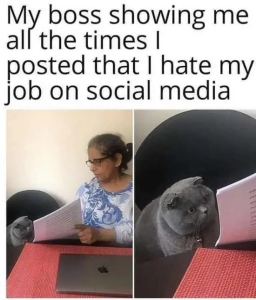Stupid Bar Memes cc76e6f4ab0348bec0d0a83c41017649