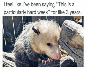 Stupid Bar Memes cc83f70049faf9b8
